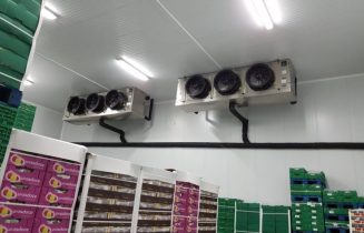 refrigerazione e conservazione uva refrigerazione e conservazione uva