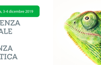 XI Conferenza Nazionale sull’Efficienza Energetica