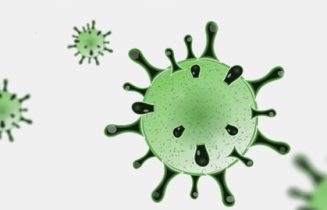coronavirus covid-19