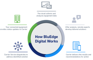 bluedge-digital-lifecyle-diagram